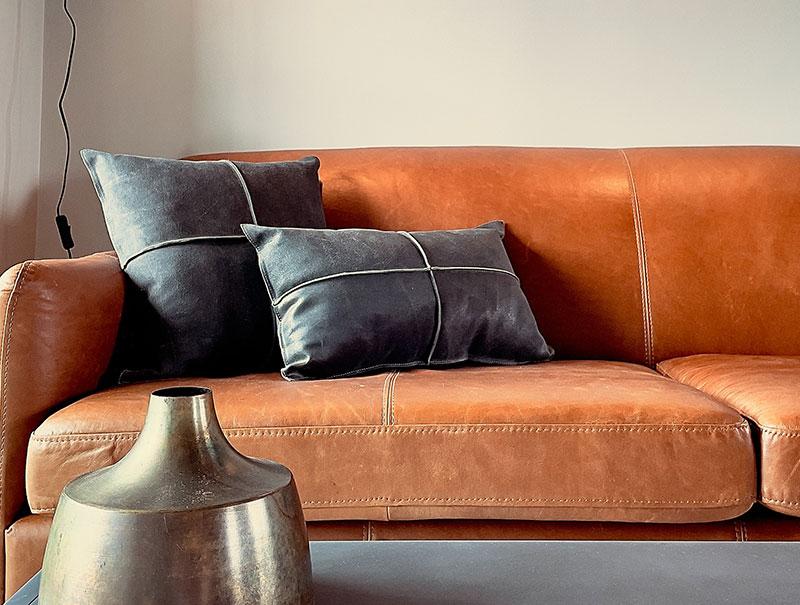 the leather sofa
